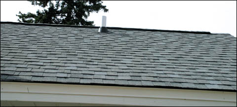 New shingles