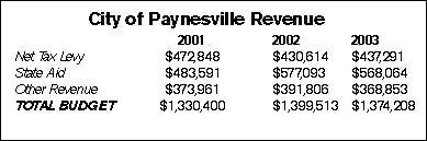 2003 city budget