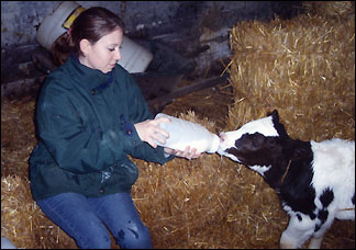 Katharina Goethschenberg feed animals