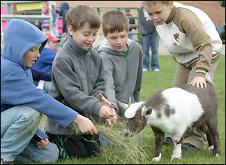 Second graders with goat