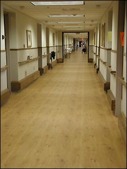Koronis Manor hallway with new wood floor