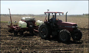 planting field