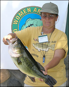 Top bass fish in tournament