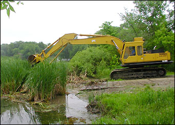 crane removing bog