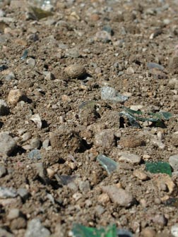 Glass Shimmering in Gravel