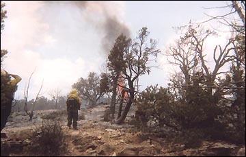 Fighting wildfire
