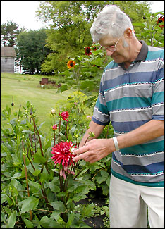 guy by flowers