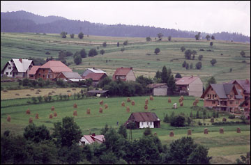 Polish countryside