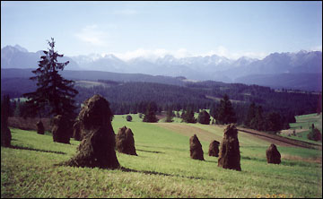 Polish landscape
