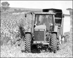 Making corn silage