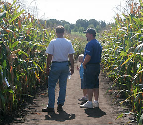 Discussing test plot