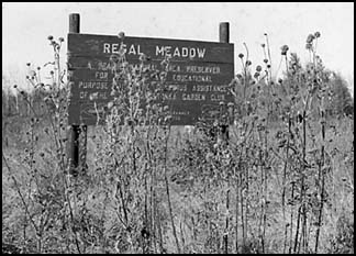 meadow with sign