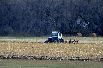 Harvesting corn