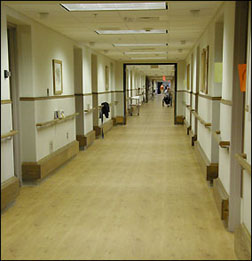Koronis Manor hallway