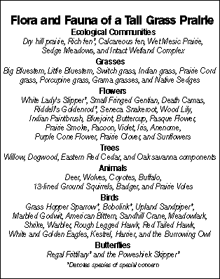 Tall grass prairies flora and fauna - chart by Jennifer E. Johnson