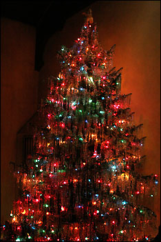 Salem Christmas Tree