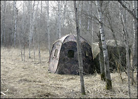 Camouflaged blinds