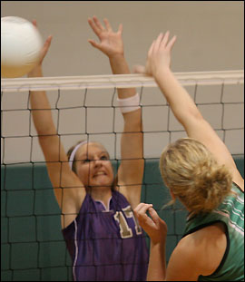 Volleyball block