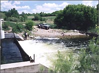 Outlet dam and carp trap