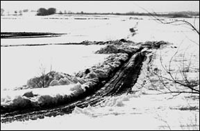 snowy field