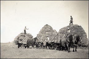 Stacking grain bundles