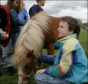 Feeding horse