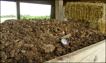 compost