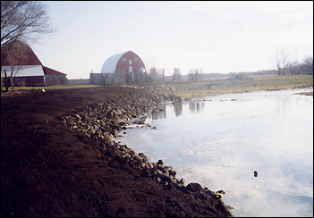 Crow River bank after project