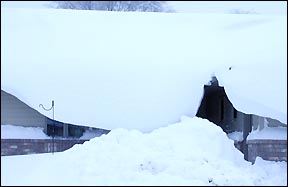 Snow covers windows