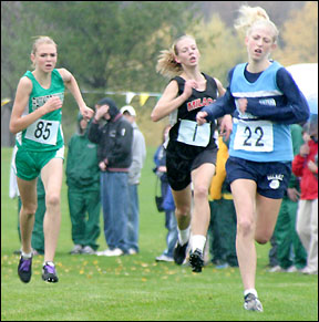 Frenchick running