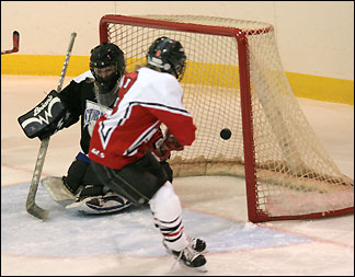 hockey goal